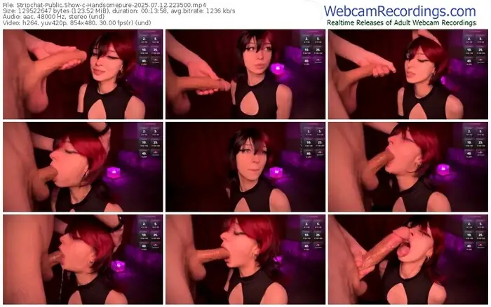 2025/07/12/stripchat-handsomepure-22-35-00