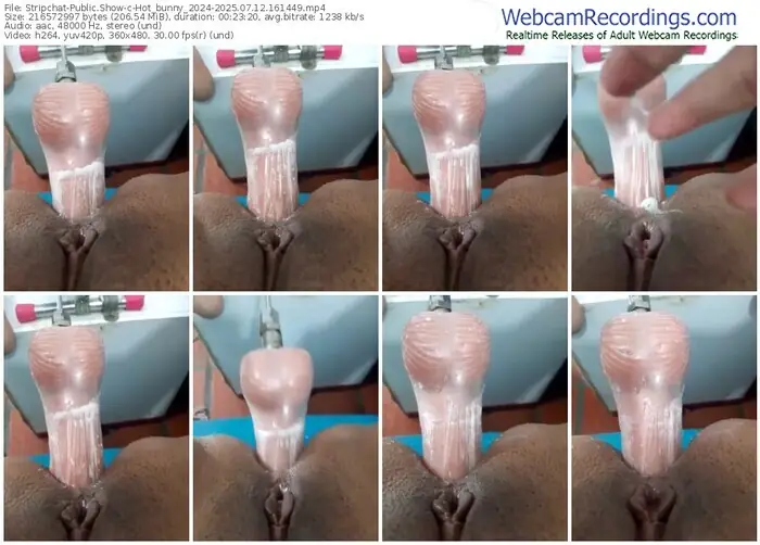2025/07/12/stripchat-hot_bunny_2024-16-14-49