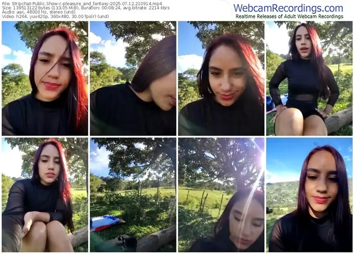 2025/07/12/stripchat-pleasure_and_fantasy-21-09-14