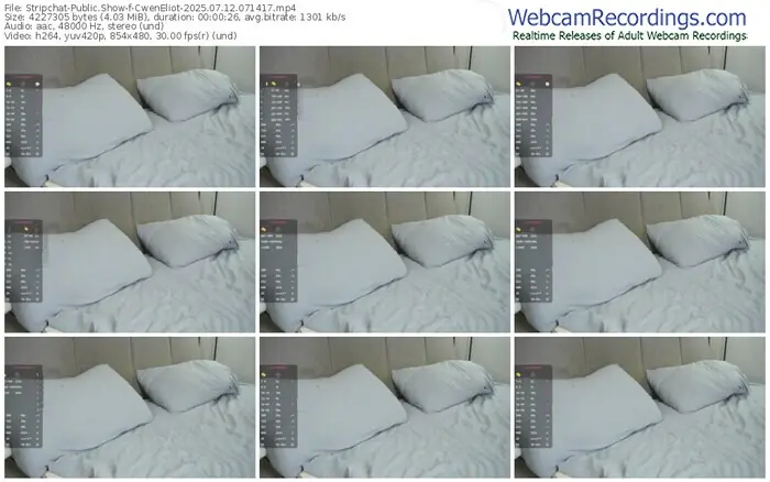 2025/07/12/stripchat-cweneliot-07-14-17