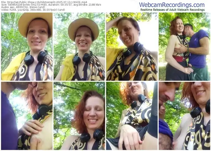 2025/07/13/stripchat-exhibitionsplit-13-04-31