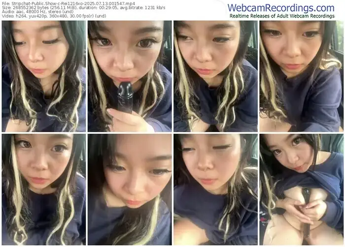 2025/07/13/stripchat-rei1216xo-00-15-47