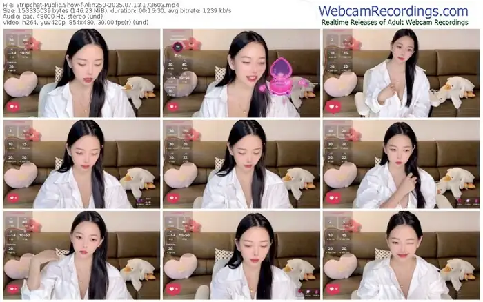 2025/07/13/stripchat-alin250-17-36-03