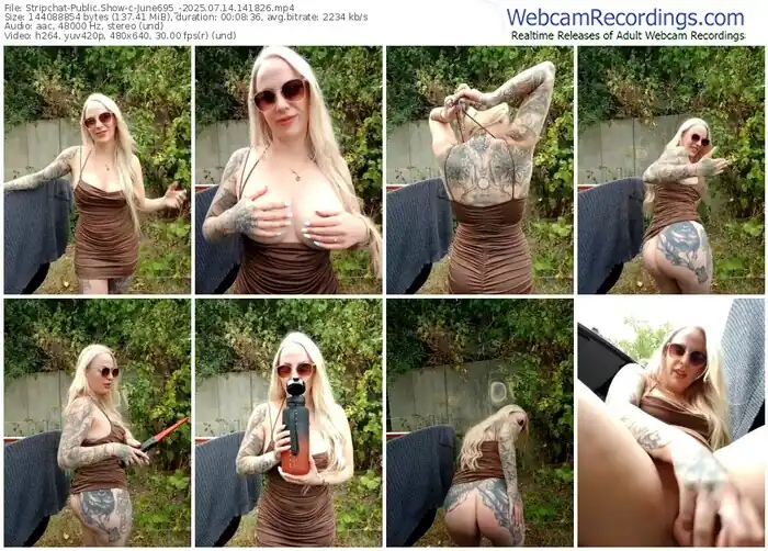 2025/07/14/stripchat-june695_-14-18-26
