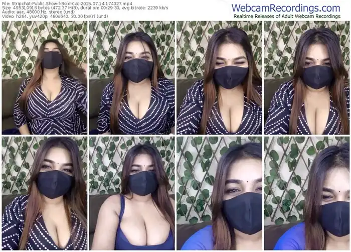 2025/07/14/stripchat-bold-cat-17-40-27