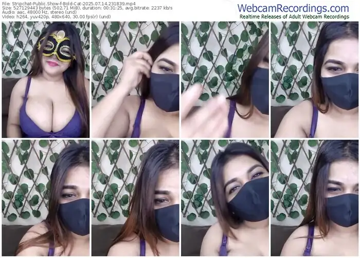 2025/07/14/stripchat-bold-cat-23-18-39