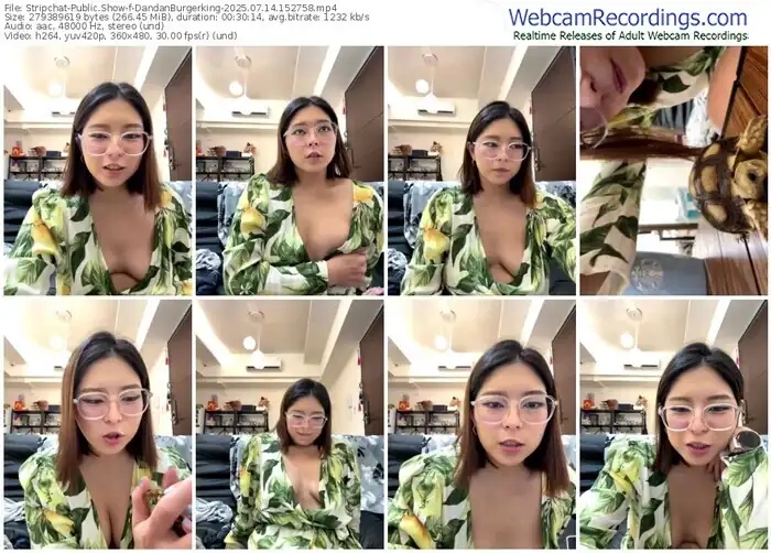 2025/07/14/stripchat-dandanburgerking-15-27-58