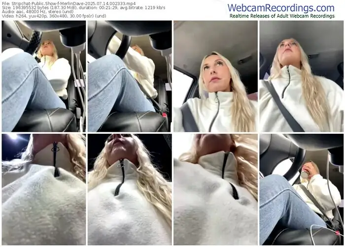 2025/07/14/stripchat-merlindave-00-23-33