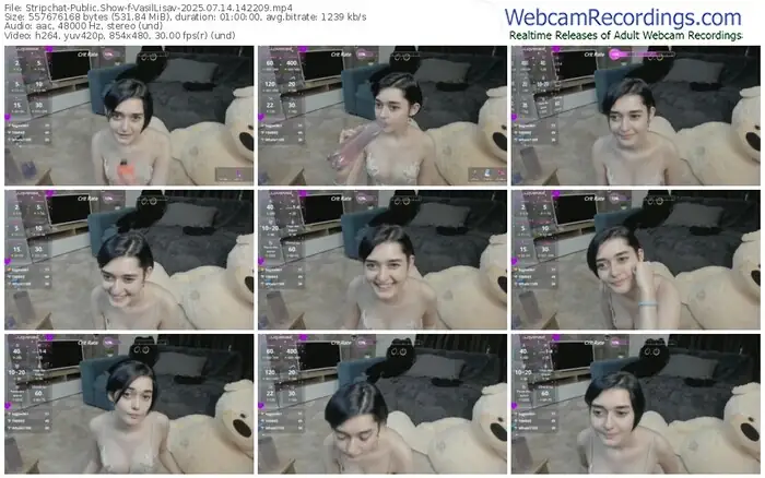 2025/07/14/stripchat-vasillisav-14-22-09