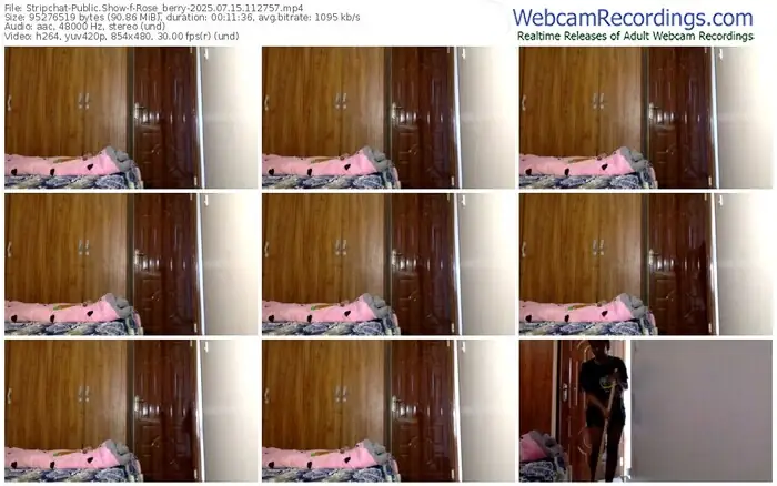 2025/07/15/stripchat-rose_berry-11-27-57