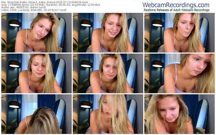 2025/07/15/stripchat-_katie_dierse-09-40-29
