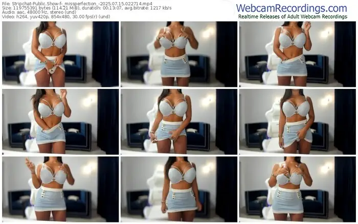 2025/07/15/stripchat-_missperfection_-02-27-14