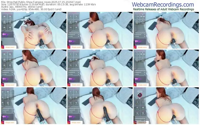 2025/07/15/stripchat-angiee_roses-23-26-47