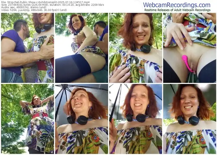 2025/07/16/stripchat-exhibitionsplit-12-45-17