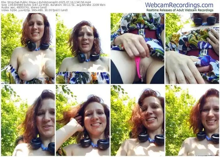 2025/07/16/stripchat-exhibitionsplit-13-41-56