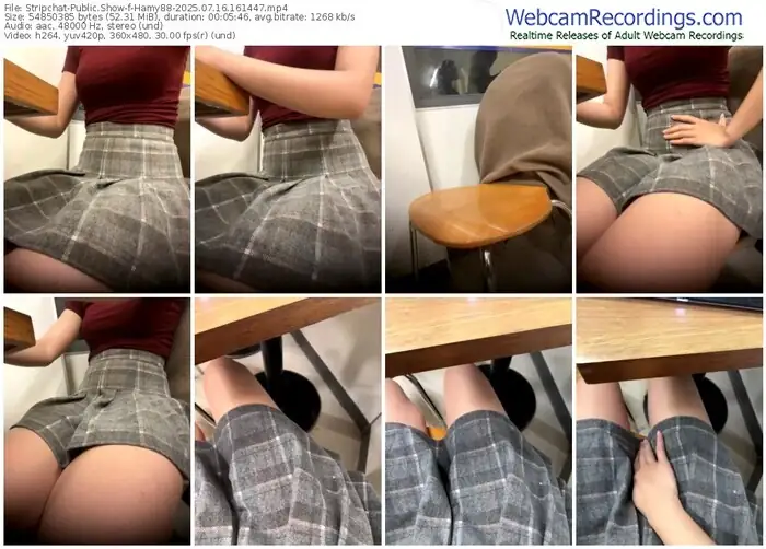 2025/07/16/stripchat-hamy88-16-14-47