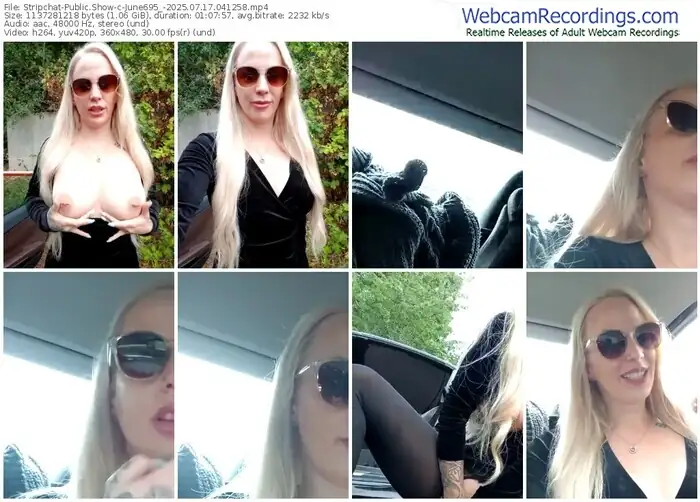 2025/07/17/stripchat-june695_-04-12-58