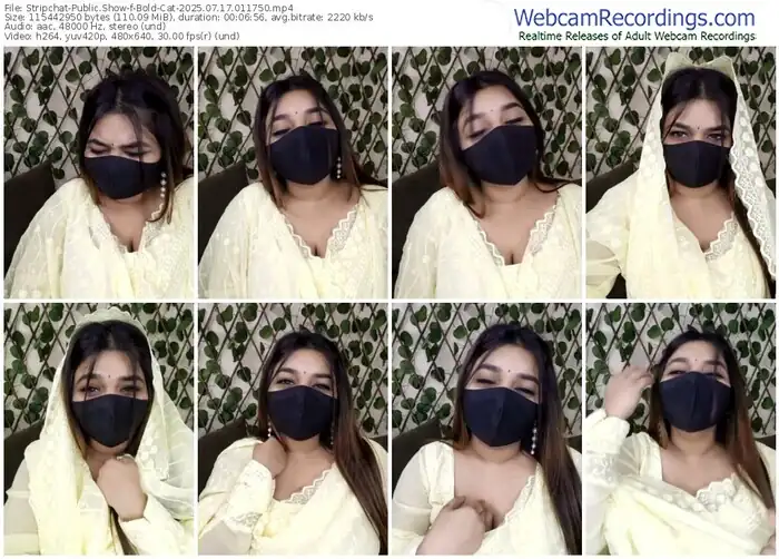 2025/07/17/stripchat-bold-cat-01-17-50