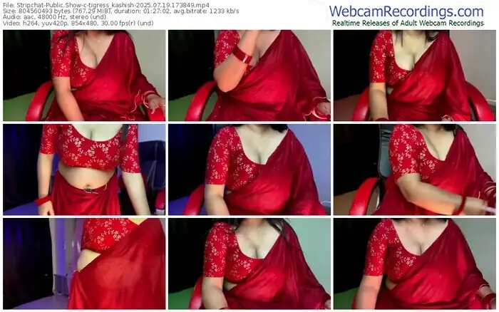 2025/07/19/stripchat-tigress_kashish-17-38-49