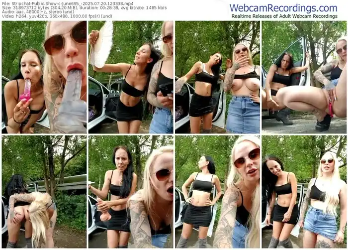 2025/07/20/stripchat-june695_-12-33-38