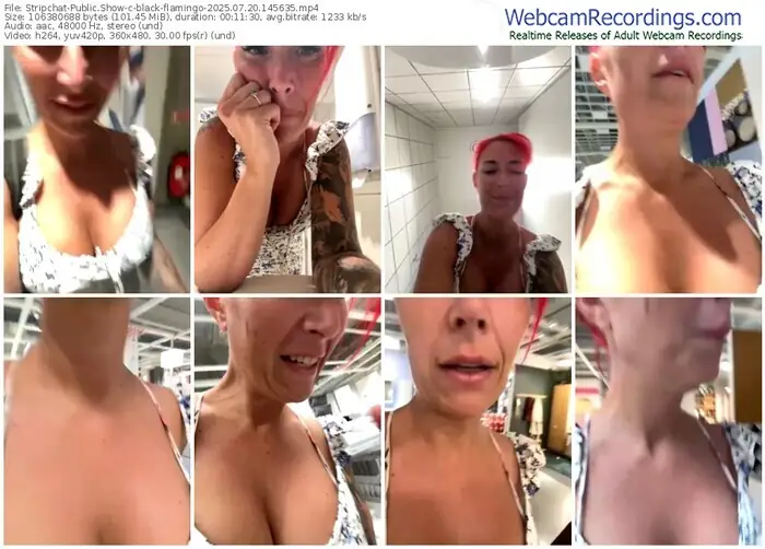 2025/07/20/stripchat-black-flamingo-14-56-35