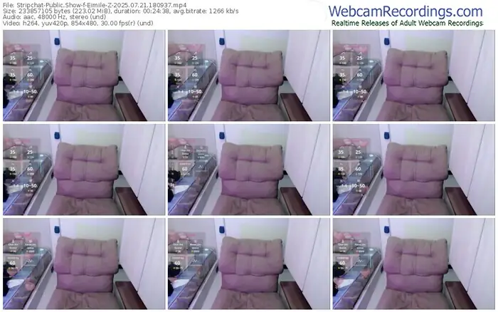 2025/07/21/stripchat-eimile-z-18-09-37