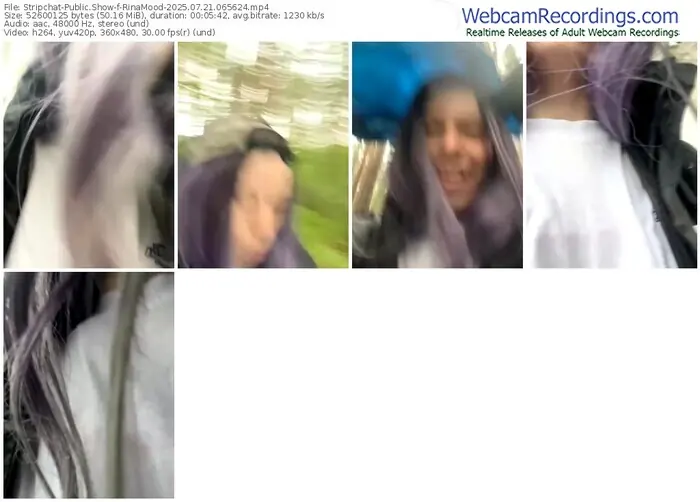 2025/07/21/stripchat-rinamood-06-56-24
