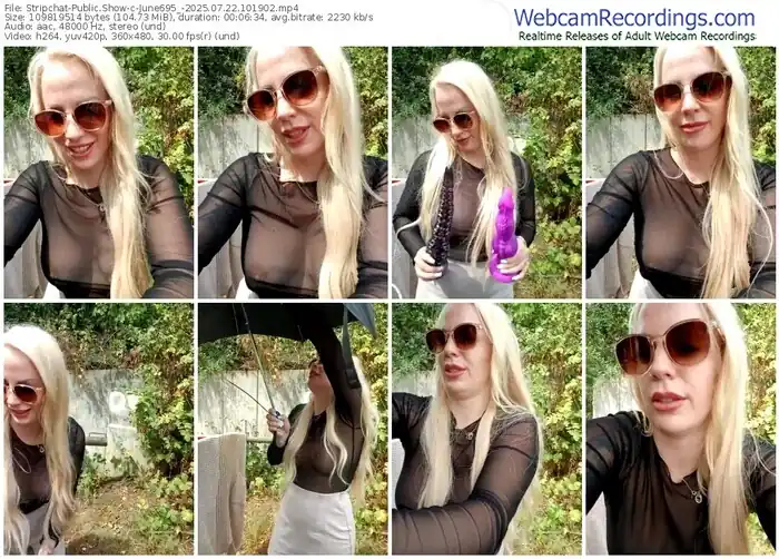 2025/07/22/stripchat-june695_-10-19-02