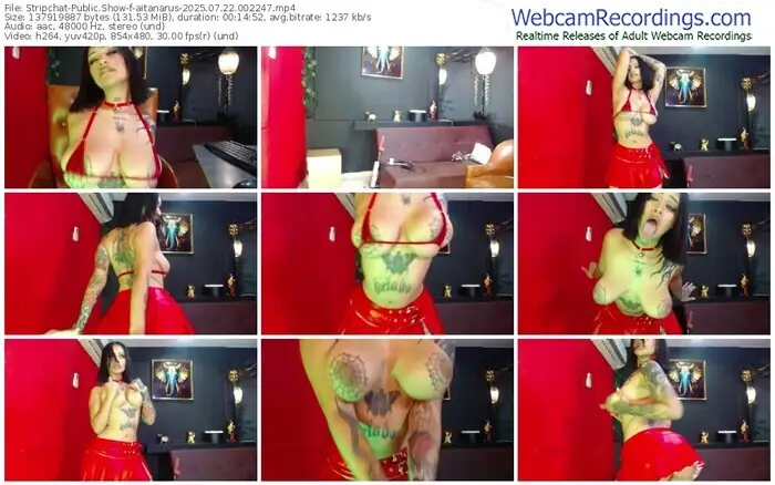 2025/07/22/stripchat-aitanarus-00-22-47