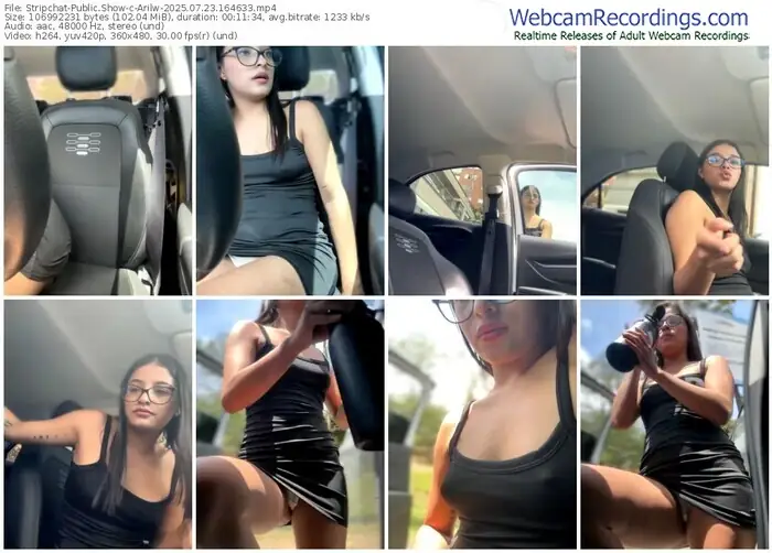 2025/07/23/stripchat-arilw-16-46-33