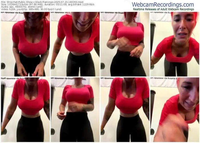 2025/07/23/stripchat-black-flamingo-18-33-53