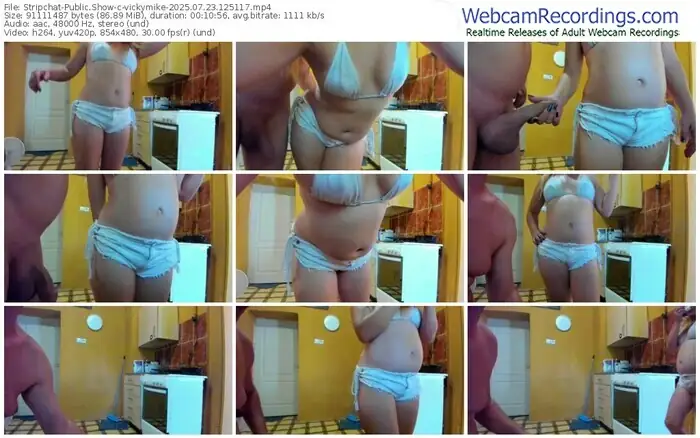 2025/07/23/stripchat-vickymike-12-51-17