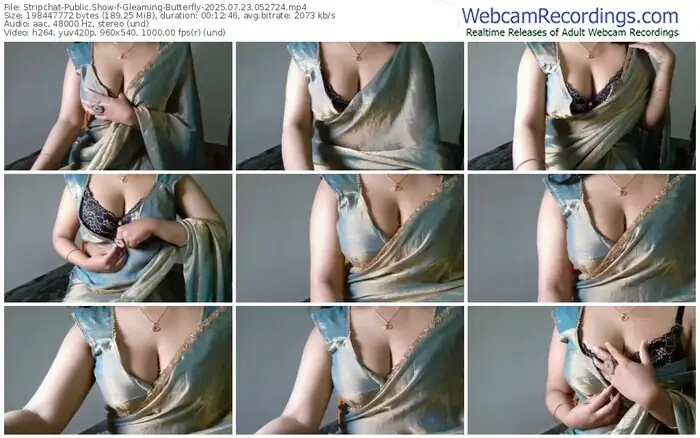 2025/07/23/stripchat-gleaming-butterfly-05-27-24