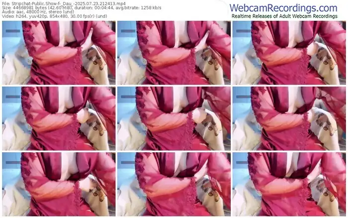 2025/07/23/stripchat-_dau_-21-24-13