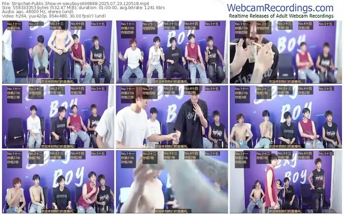 2025/07/23/stripchat-sexyboys666888-12-05-18