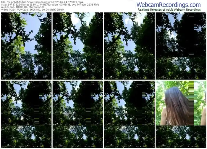 2025/07/24/stripchat-groaningjute-07-33-27