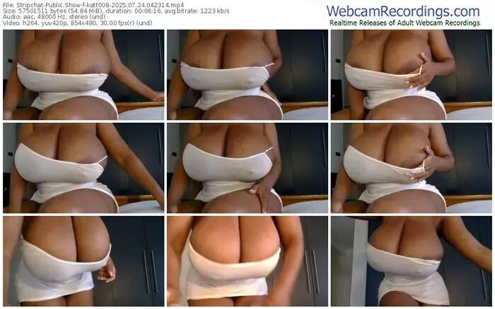 2025/07/24/stripchat-katt008-04-23-14
