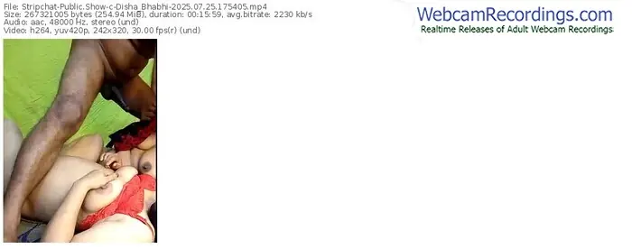 2025/07/25/stripchat-disha_bhabhi-17-54-05