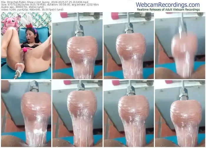 2025/07/25/stripchat-hot_bunny_2024-21-04-38