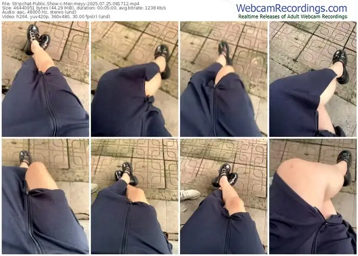 2025/07/25/stripchat-meii-meyy-08-17-12