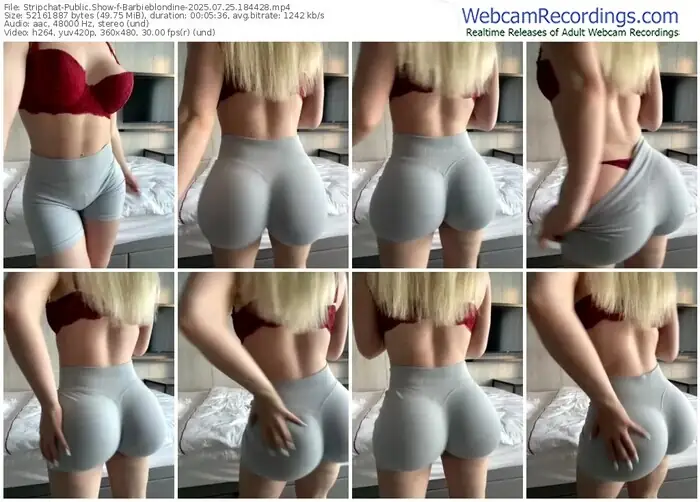 2025/07/25/stripchat-barbieblondine-18-44-28