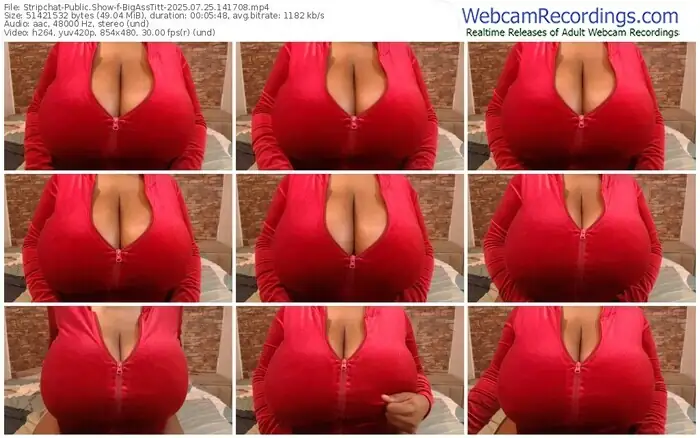 2025/07/25/stripchat-bigasstitt-14-17-08