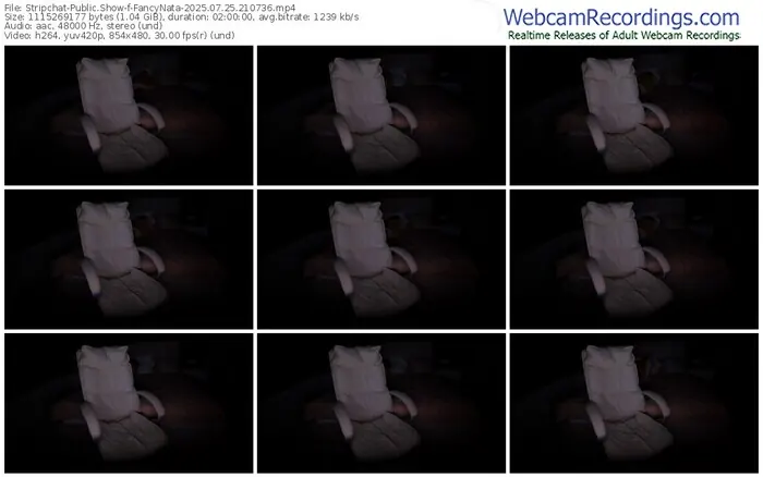 2025/07/25/stripchat-fancynata-21-07-36