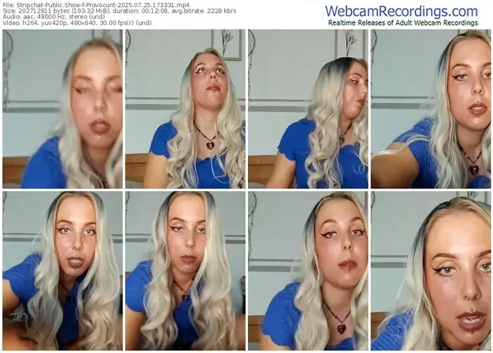 2025/07/25/stripchat-provocunt-17-33-31