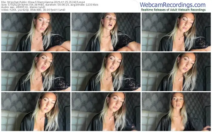 2025/07/25/stripchat-starryhanna-21-24-15