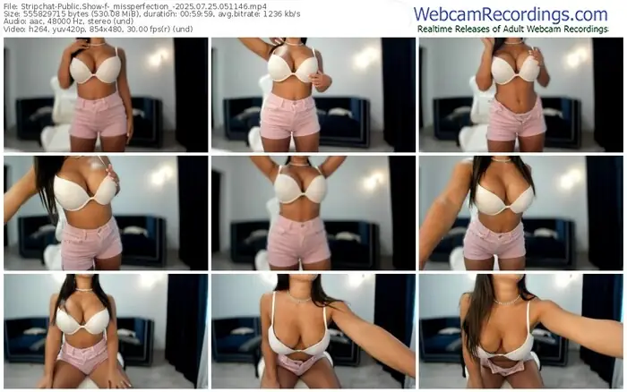 2025/07/25/stripchat-_missperfection_-05-11-46
