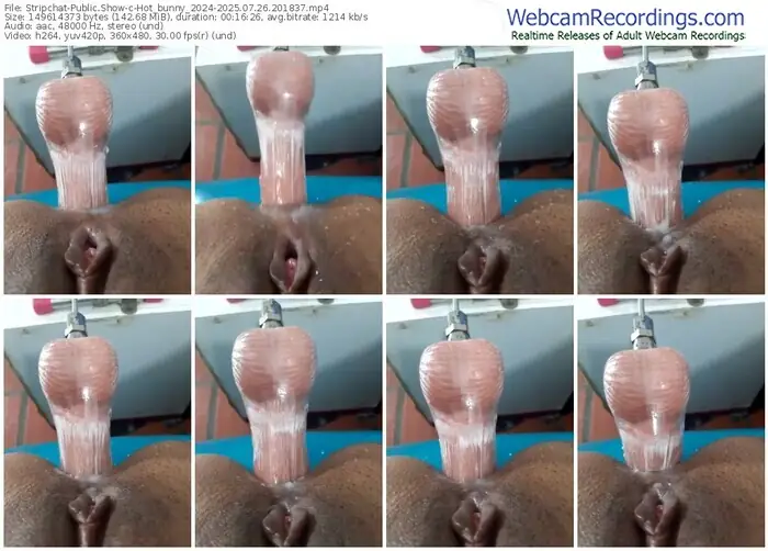 2025/07/26/stripchat-hot_bunny_2024-20-18-37