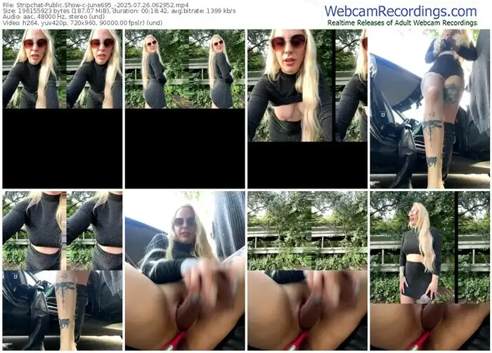 2025/07/26/stripchat-june695_-06-29-52