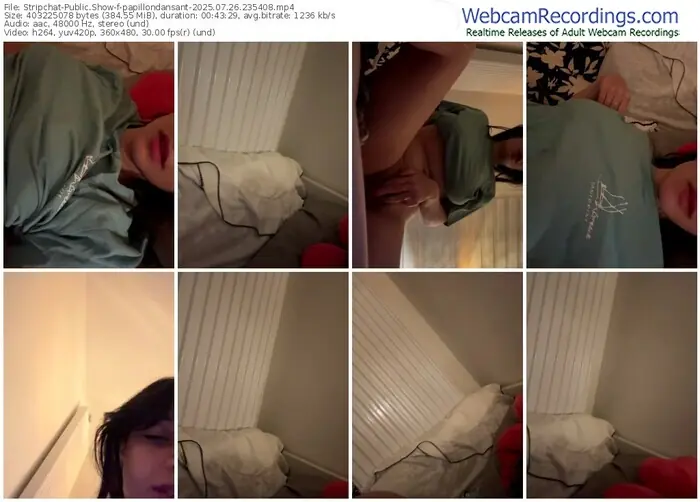 2025/07/26/stripchat-papillondansant-23-54-08