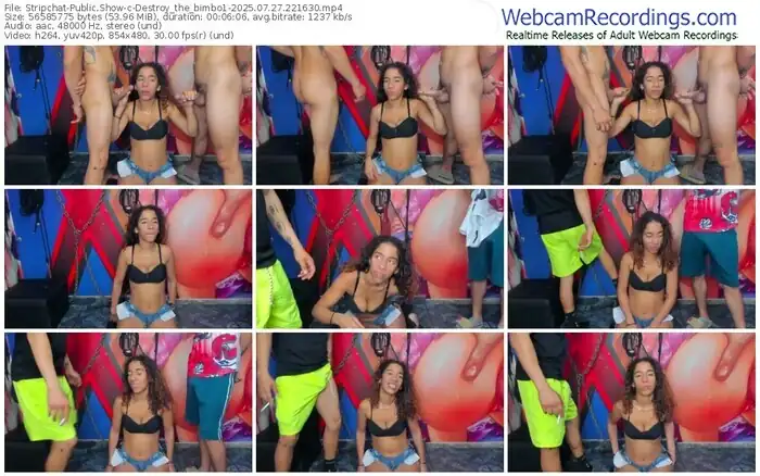 2025/07/27/stripchat-destroy_the_bimbo1-22-16-30